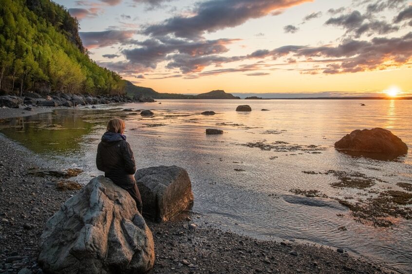 parc du bic unsplash