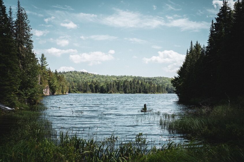 parc mauricie