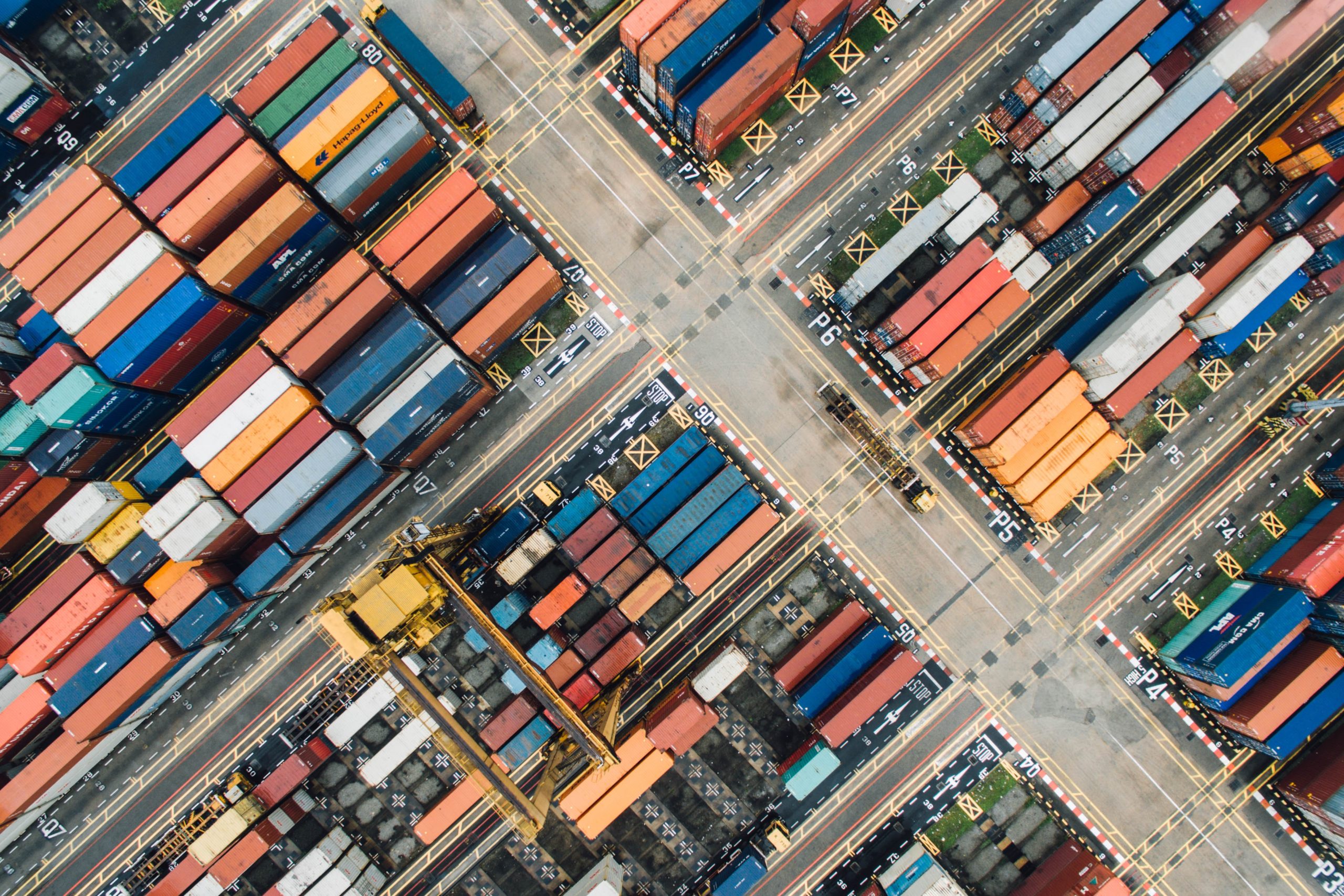 Featured image for “Expansion du Port de Montréal : Un rapport complaisant qui minimise l’impact sur les espèces en péril”