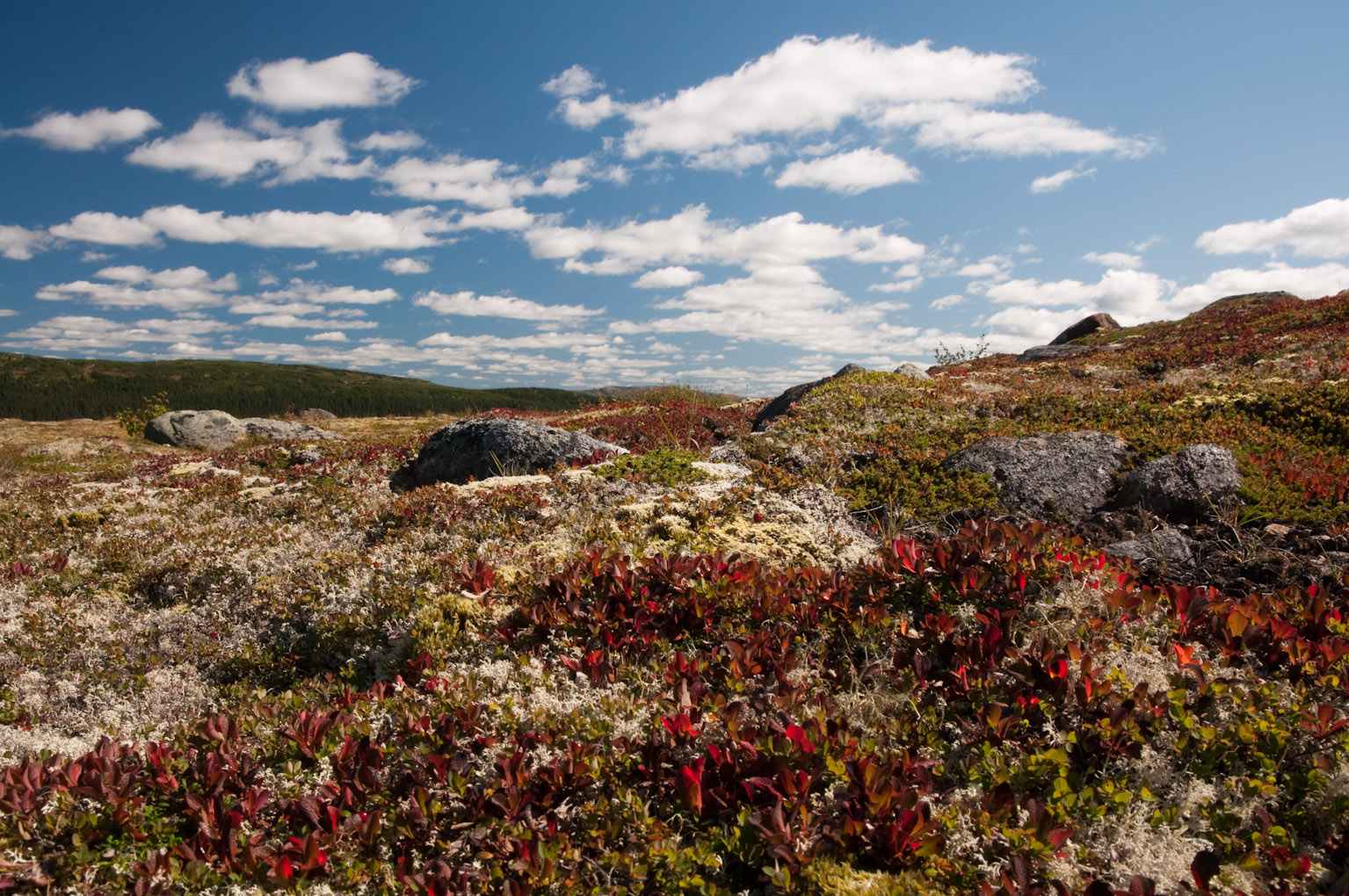 Featured image for “Les Monts Groulx – Uapishka”