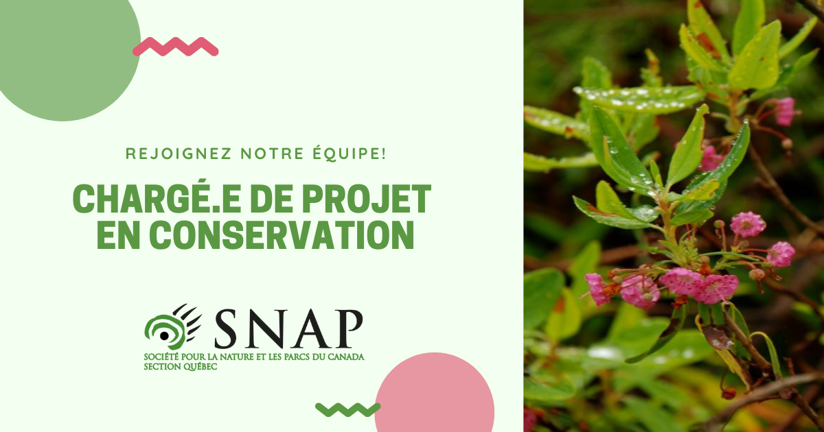 Featured image for “Offre d’emploi : Chargé.e de projet en conservation”
