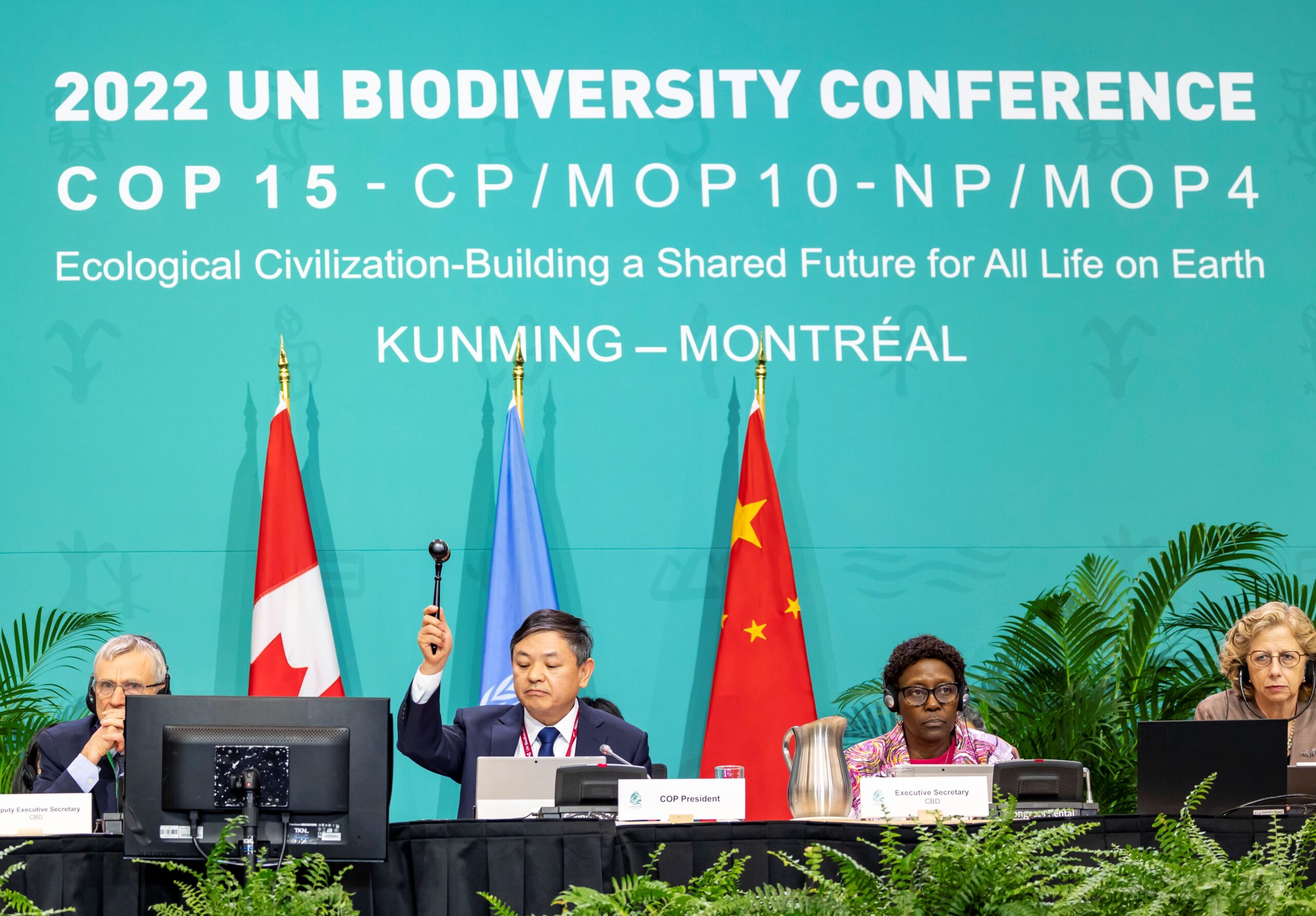 Featured image for “COP15: un an plus tard, quel bilan pour le Québec?”