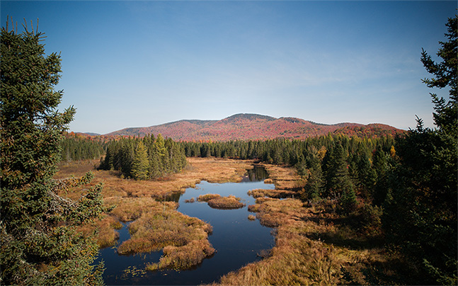 Featured image for “Conservation de la biodiversité – Québec annonce son intention de mettre en réserve le secteur du mont Kaaikop”