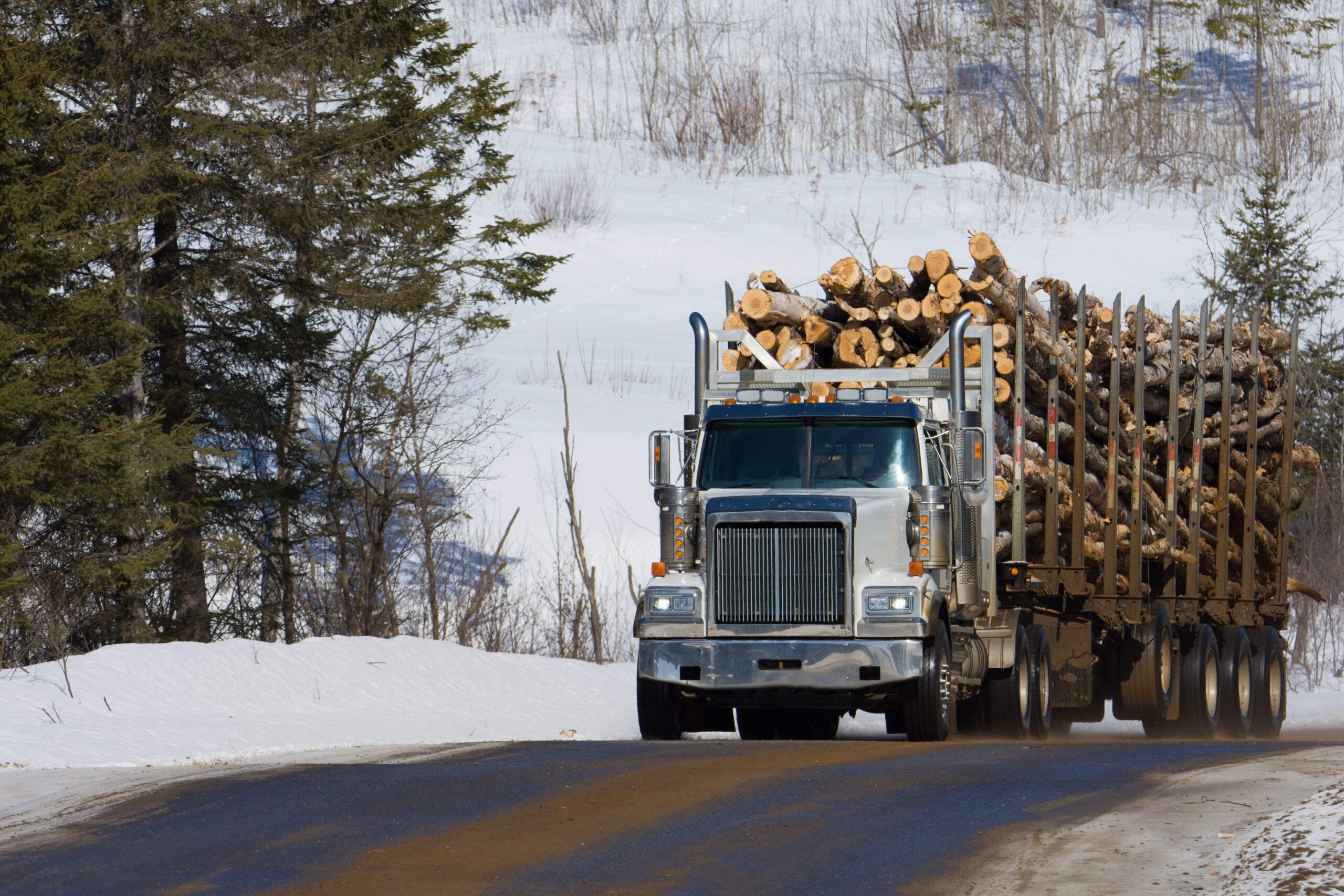 Featured image for “Empreinte climatique : couper les forêts 5 fois pire que l’automobile ”