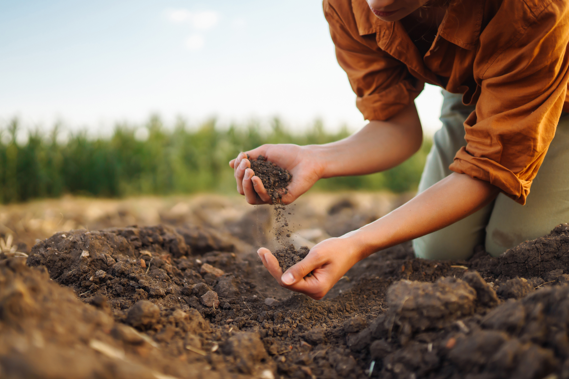 Featured image for “De quoi sommes-nous riches face à l’appauvrissement de la nature?”