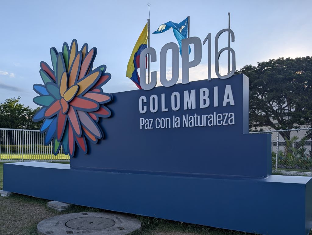 COP 16