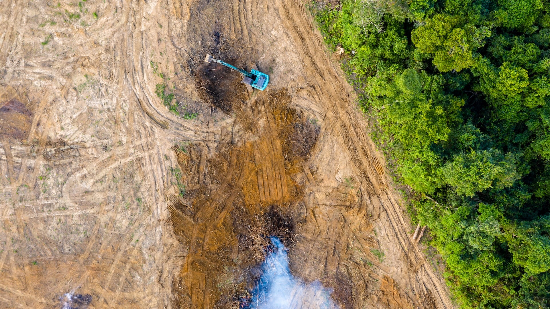 Featured image for “Coup de hache annoncé dans les protections environnementales : les député-e-s fédéraux-ales sommé-e-s d’agir avec conscience”