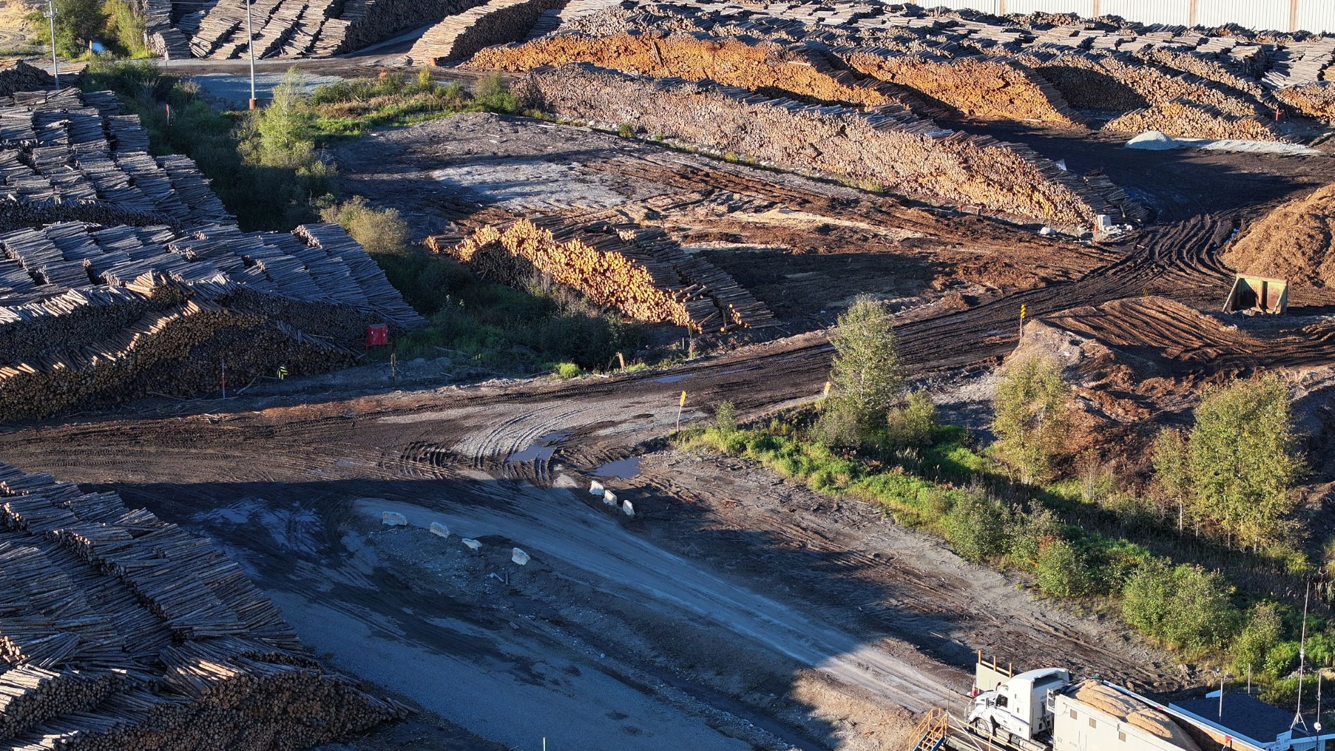 Featured image for “Pourquoi l’empreinte climatique de l’industrie forestière est-elle pire que celle des transports?”