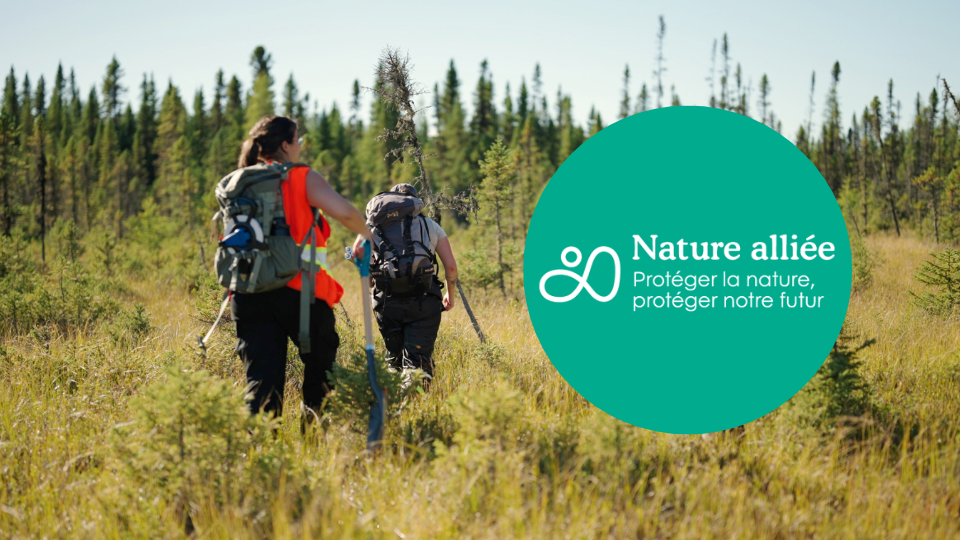 Vignette vidéo Nature alliée