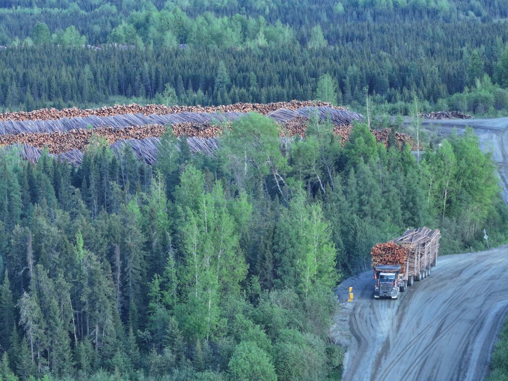 Transport du bois en camion vers l'usine