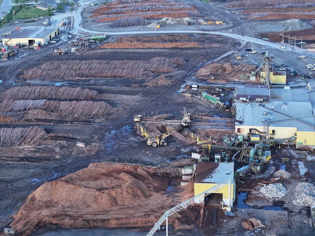 Usine de transformation forestière