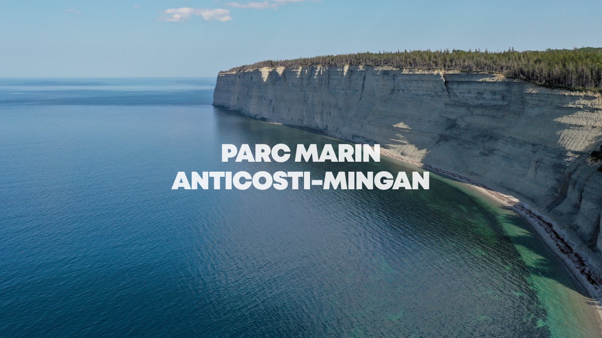 Parc marin Anticosti-Mingan