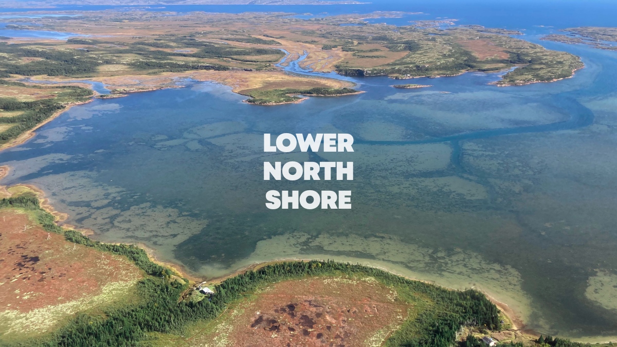 Lower North Shore