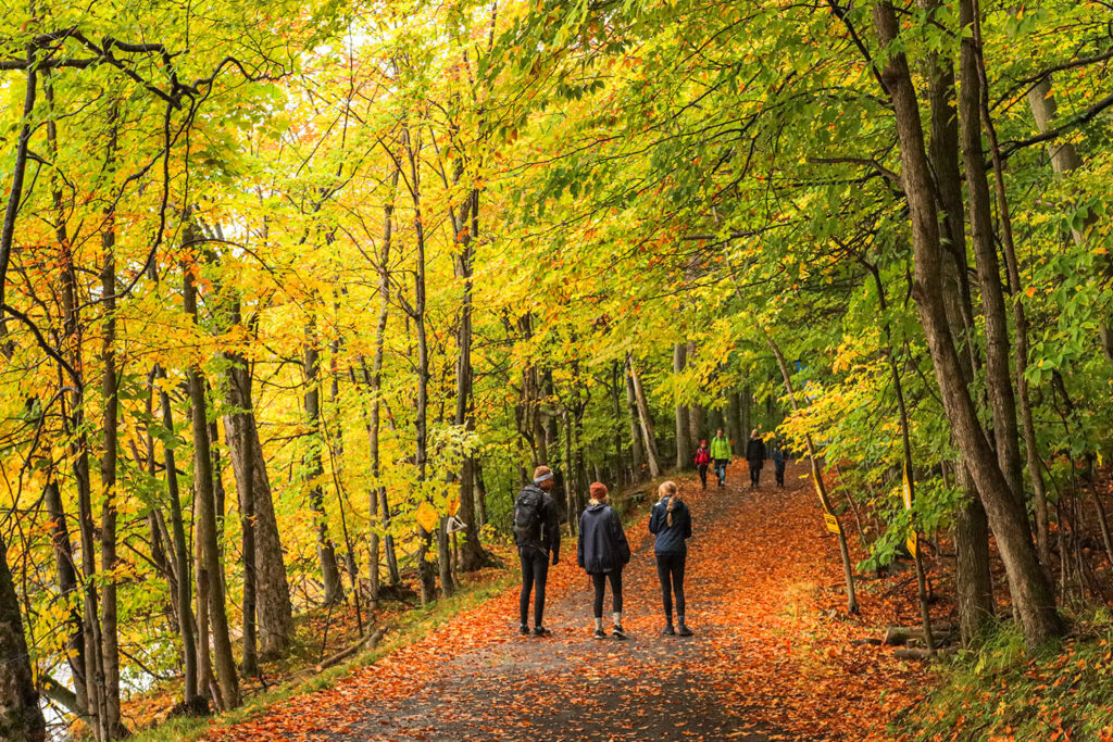 Grâce à la nature Saint-Bruno