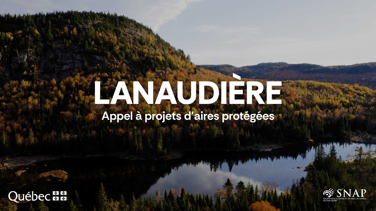 Vignette Launaudière