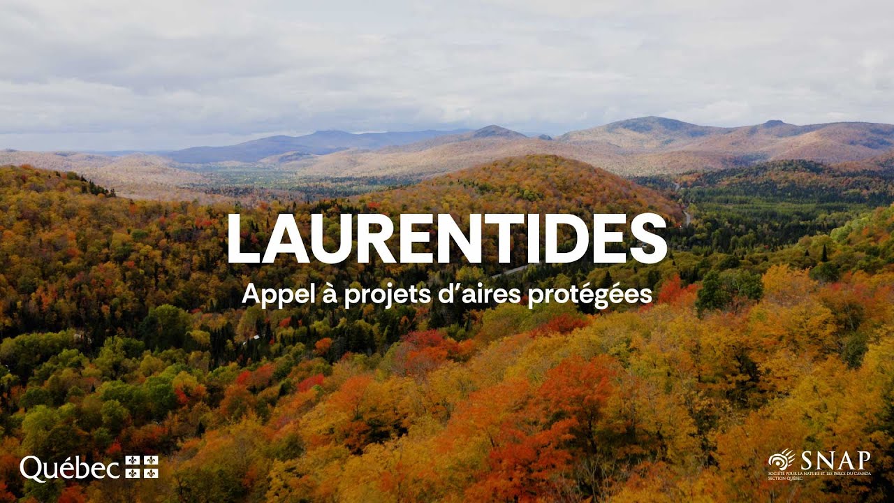 Vignette Laurentides