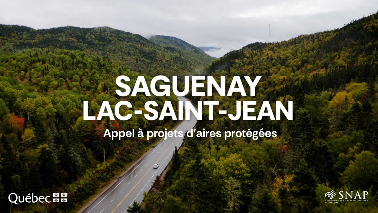 Vignette Saguenay-Lac-Saint-Jean
