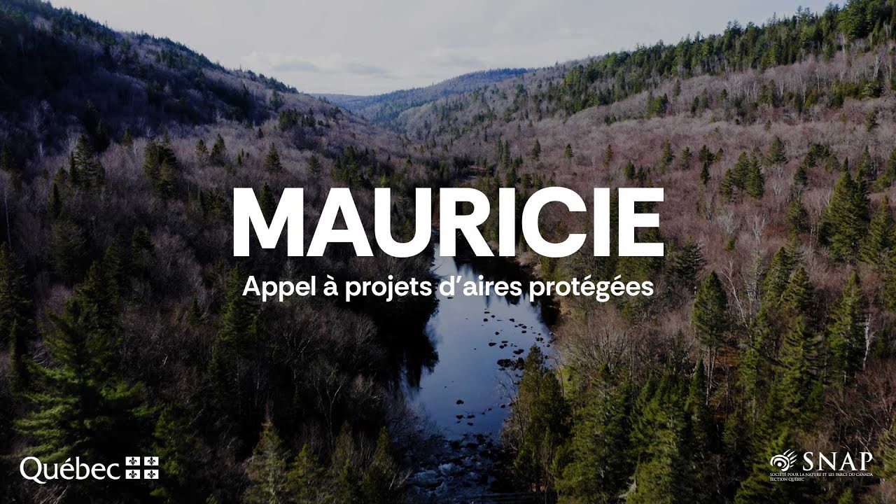 Vignette Mauricie