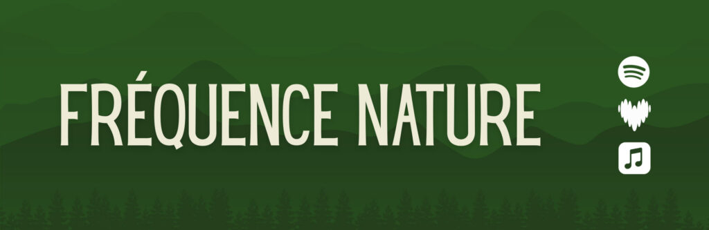 Bannière Fréquence Nature