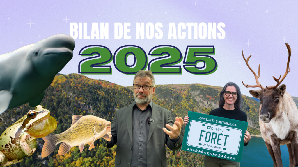 Bilan de nos actions 2025