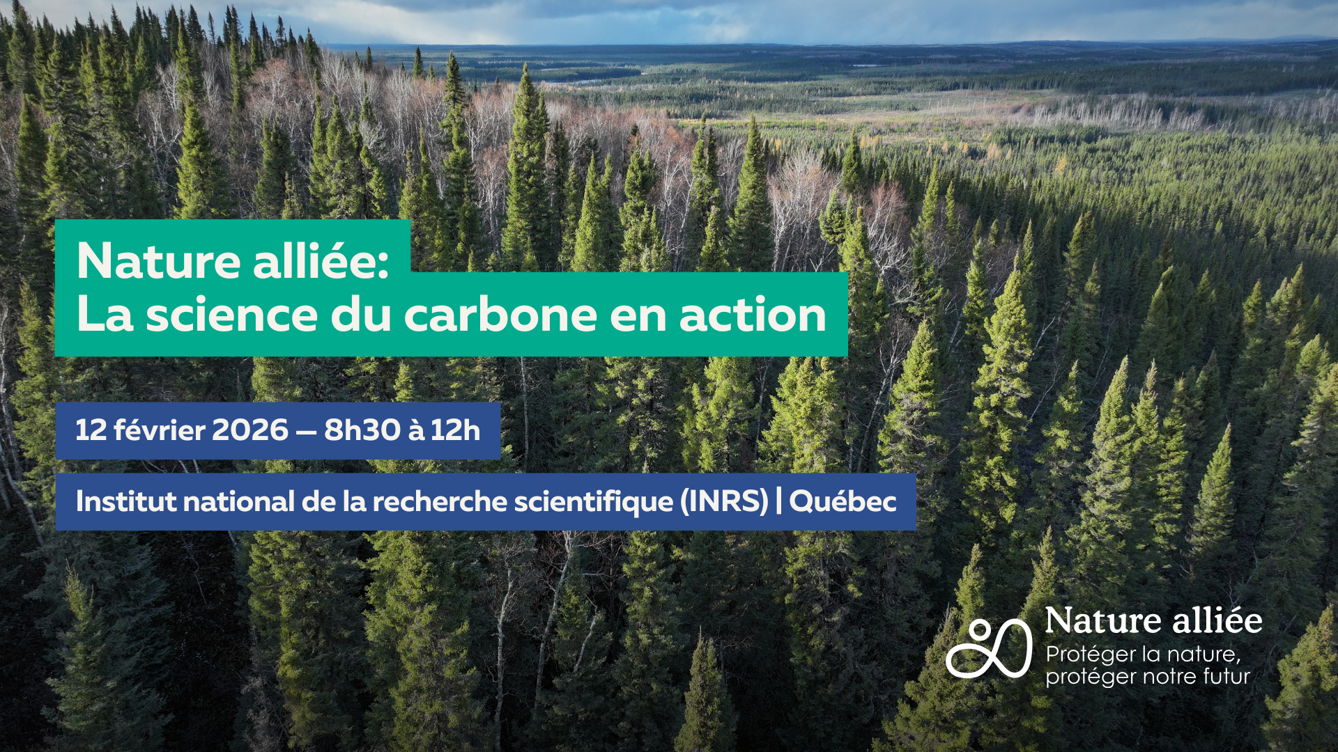 Chercheurs examinent le sol de la forêt