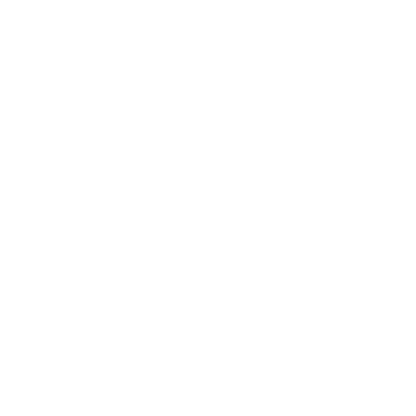 Icône géolocalisation