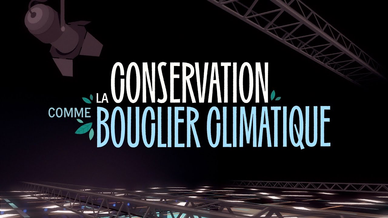 Vignette de la capsule la conservation comme bouclier climatique