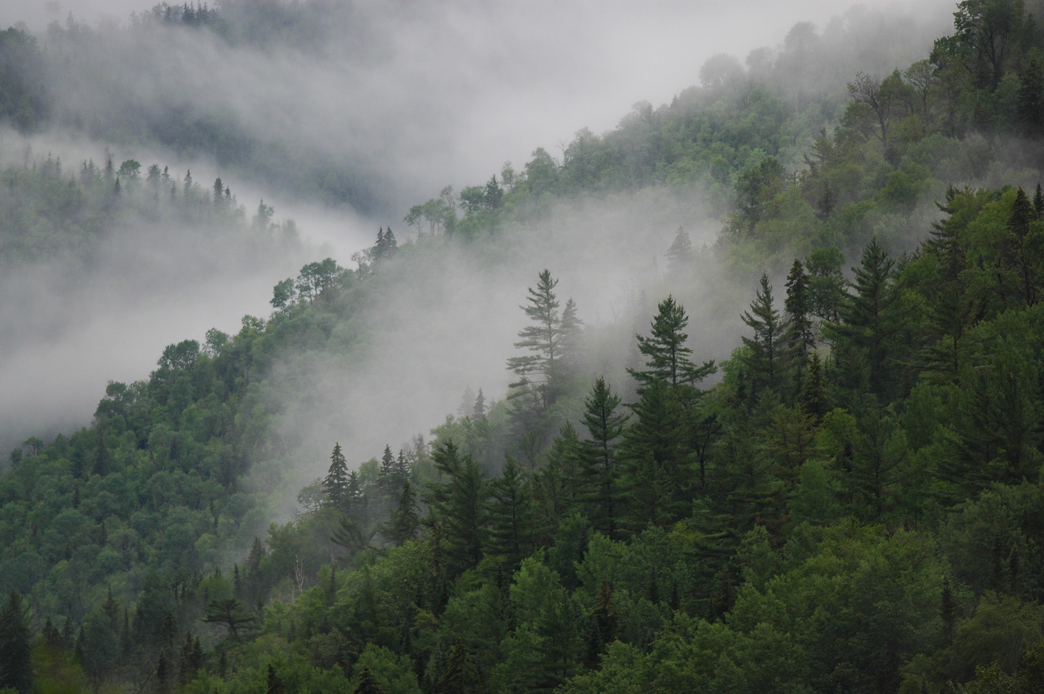 Featured image for “Recul sur le bilan climatique: Le bilan climatique du gouvernement s’écroule, déplorent des organisations environnementales”