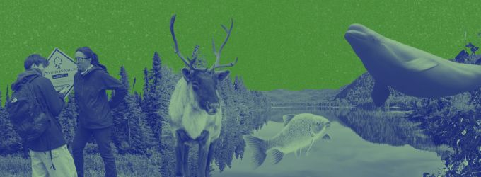 Featured image for “Les souhaits de l&rsquo;équipe de la SNAP Québec pour 2026 ”