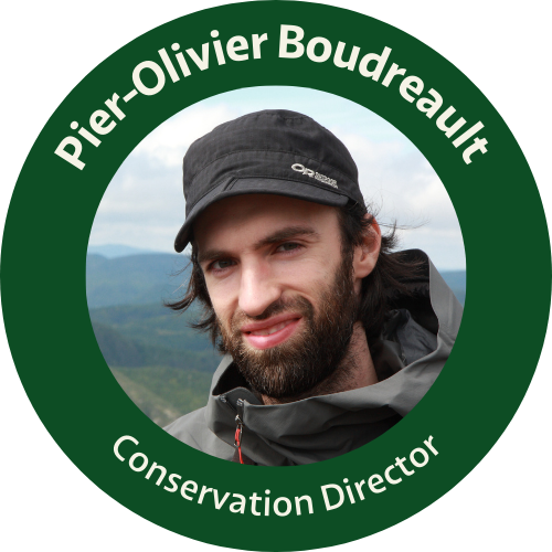 Pier-Olivier Boudreault conservation director