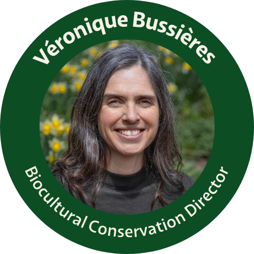 Véronique Buissières biocultural conservation director