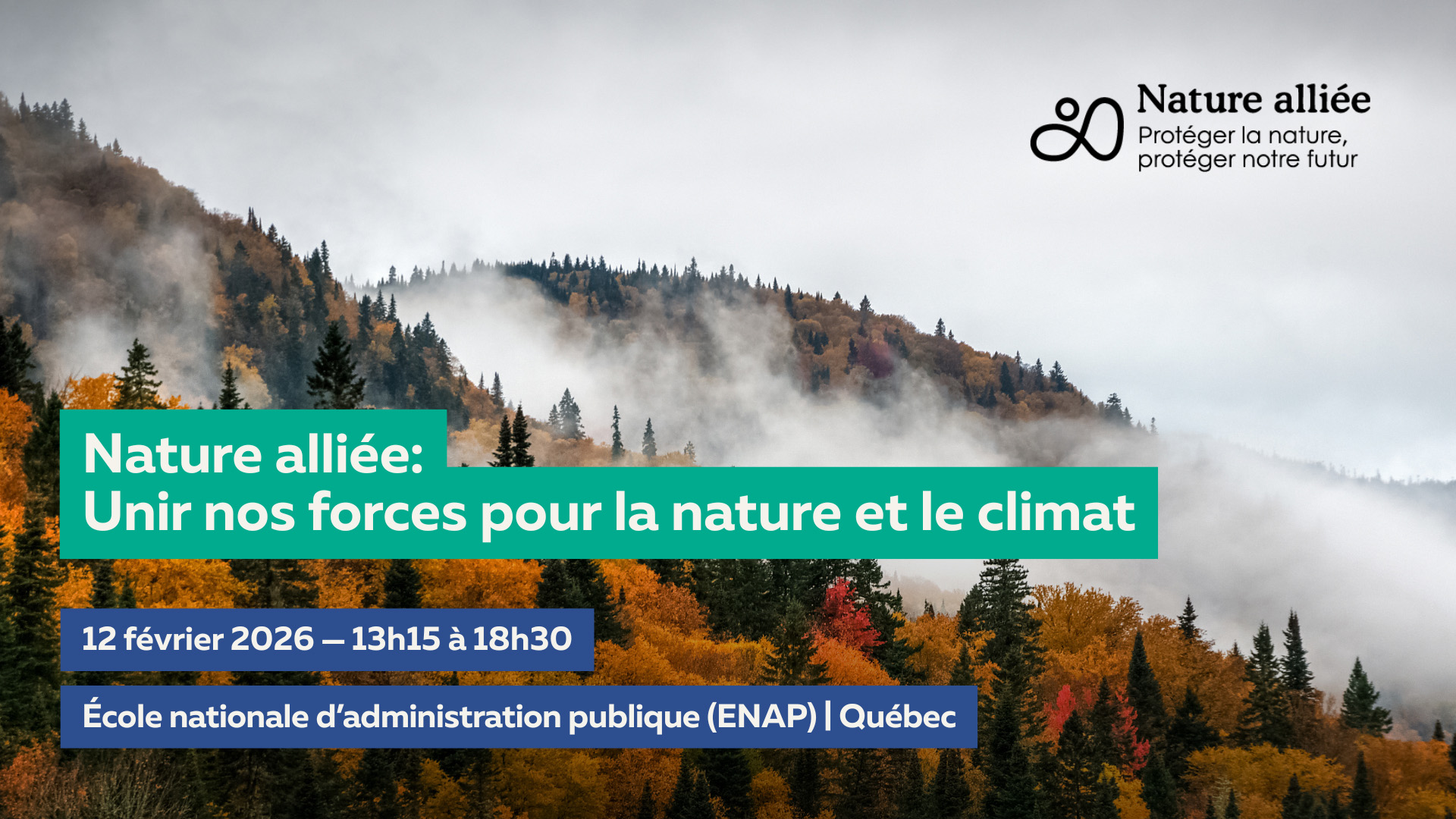 Chercheurs examinent le sol de la forêt
