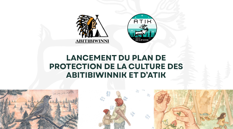 Featured image for “La Première Nation Abitibiwinni dévoile son plan pour protéger sa culture et le caribou”