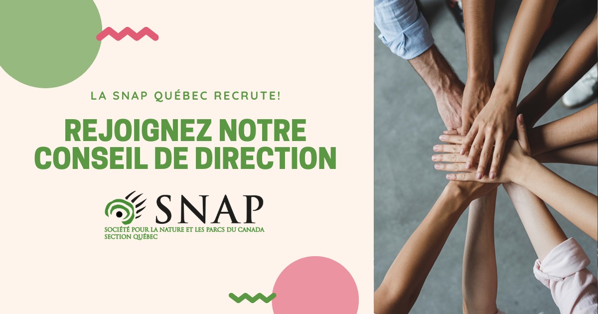 Featured image for “Nouveaux membres recherchés pour notre conseil de direction”