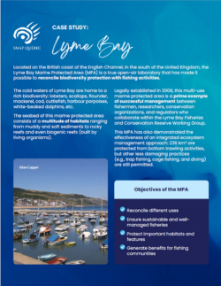 Case Study Lyme Bay thumbnail