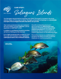 Case Study Selvagens Islands thumbnail