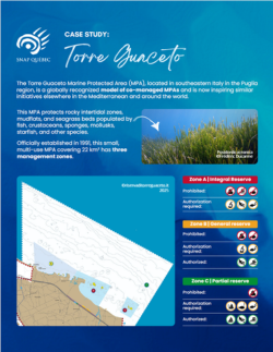 Case Study Torre Guaceto thumbnail