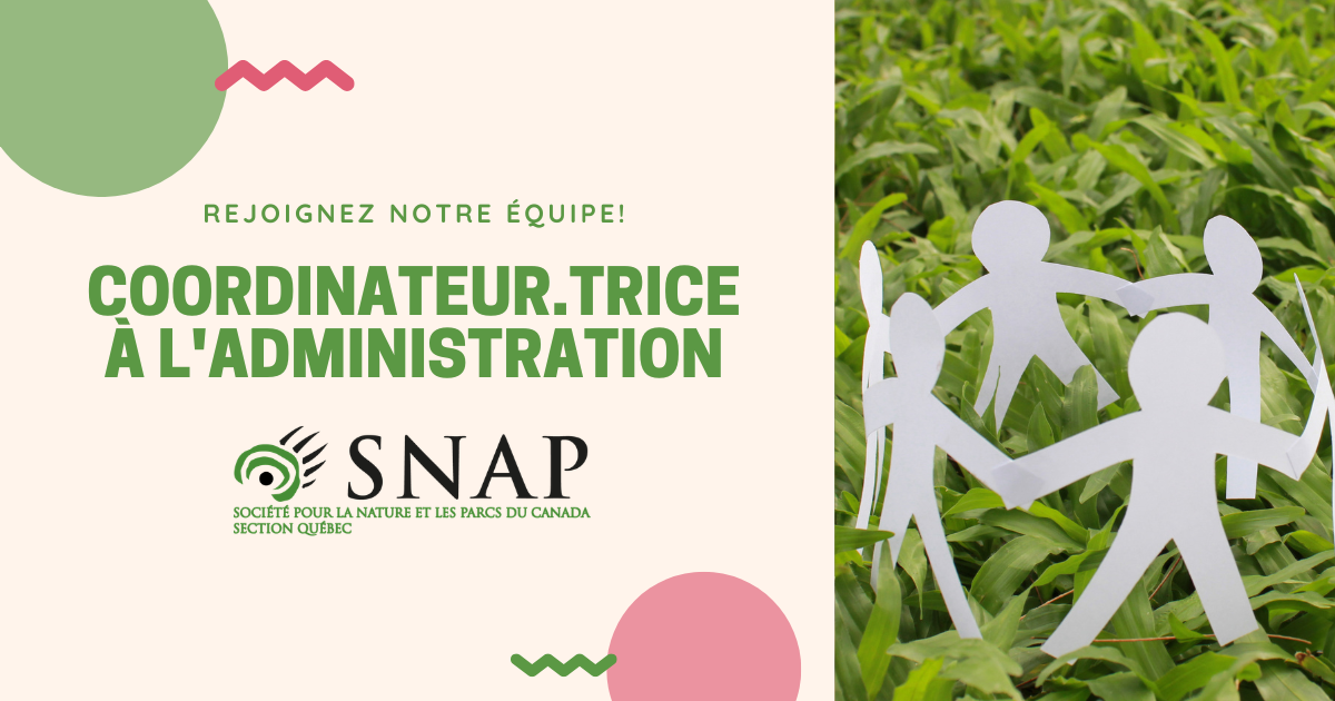 Featured image for “Offre d’emploi: Coordonnateur.trice à l&rsquo;administration”