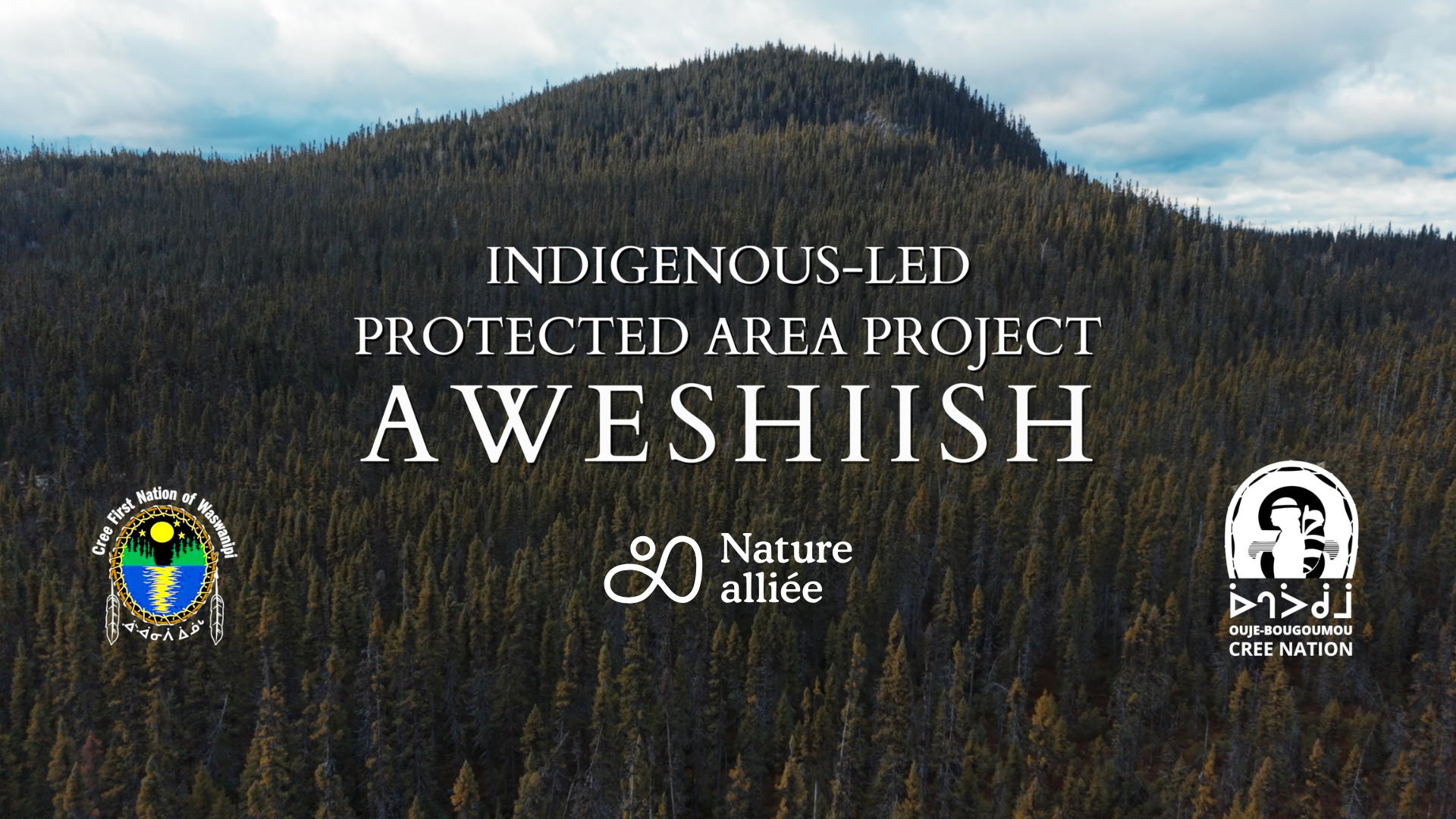 Featured image for “On their ancestral territory, Cree voices are rising in support for the Aweshiish Protected Area”