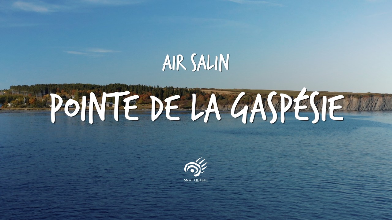 Air Salin, Pointe de la Gaspésie