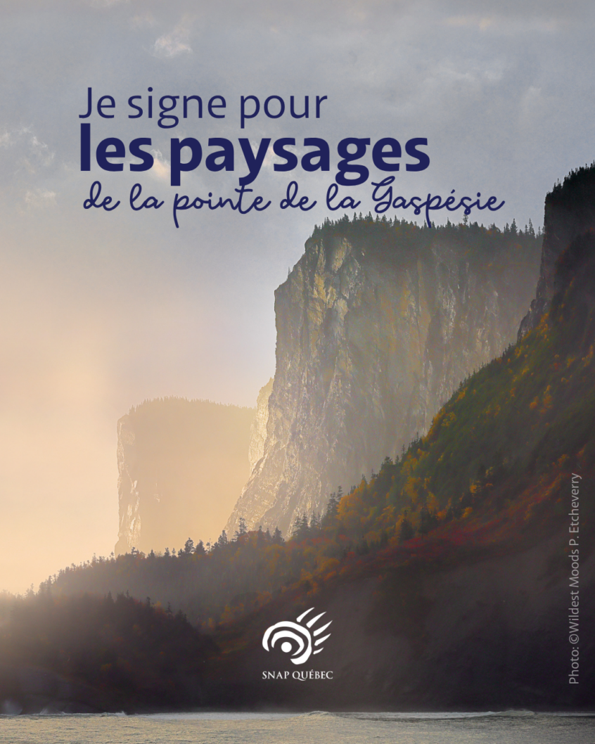 Je_signe_paysages Je signe pour les paysages de la Pointe de la Gaspésie