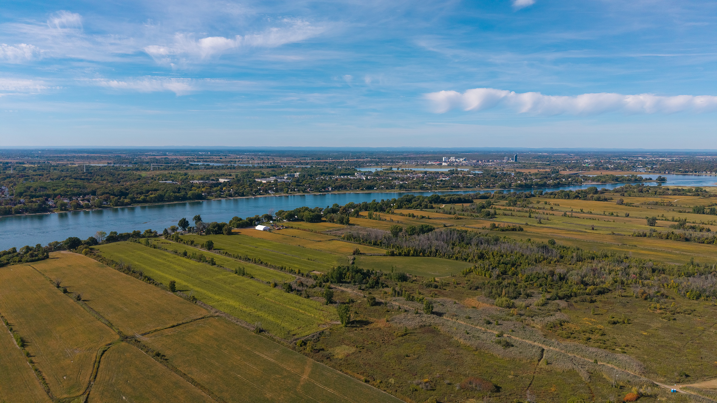 Featured image for “Plantation d’arbres sur l’île Sainte-Thérèse : un nouveau poumon pour l’Est de Montréal ”